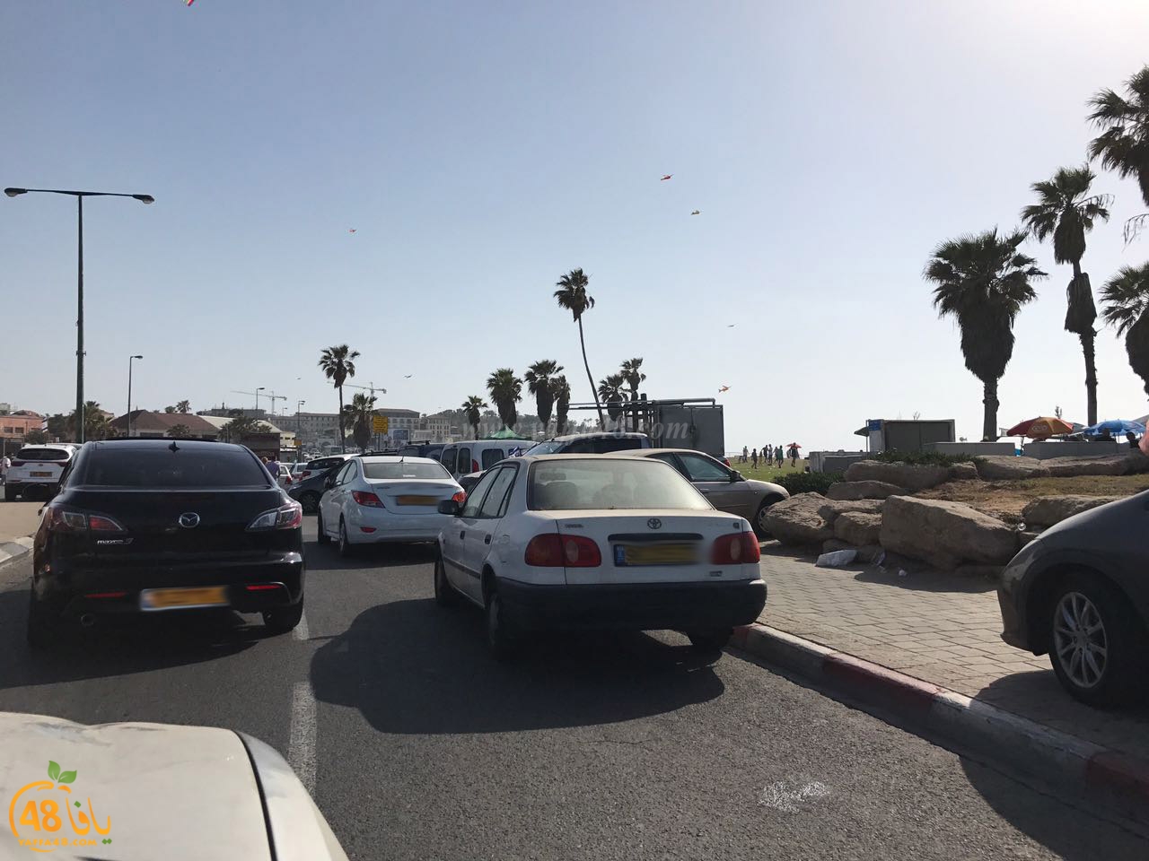 cars in yefaffa (18).jpg